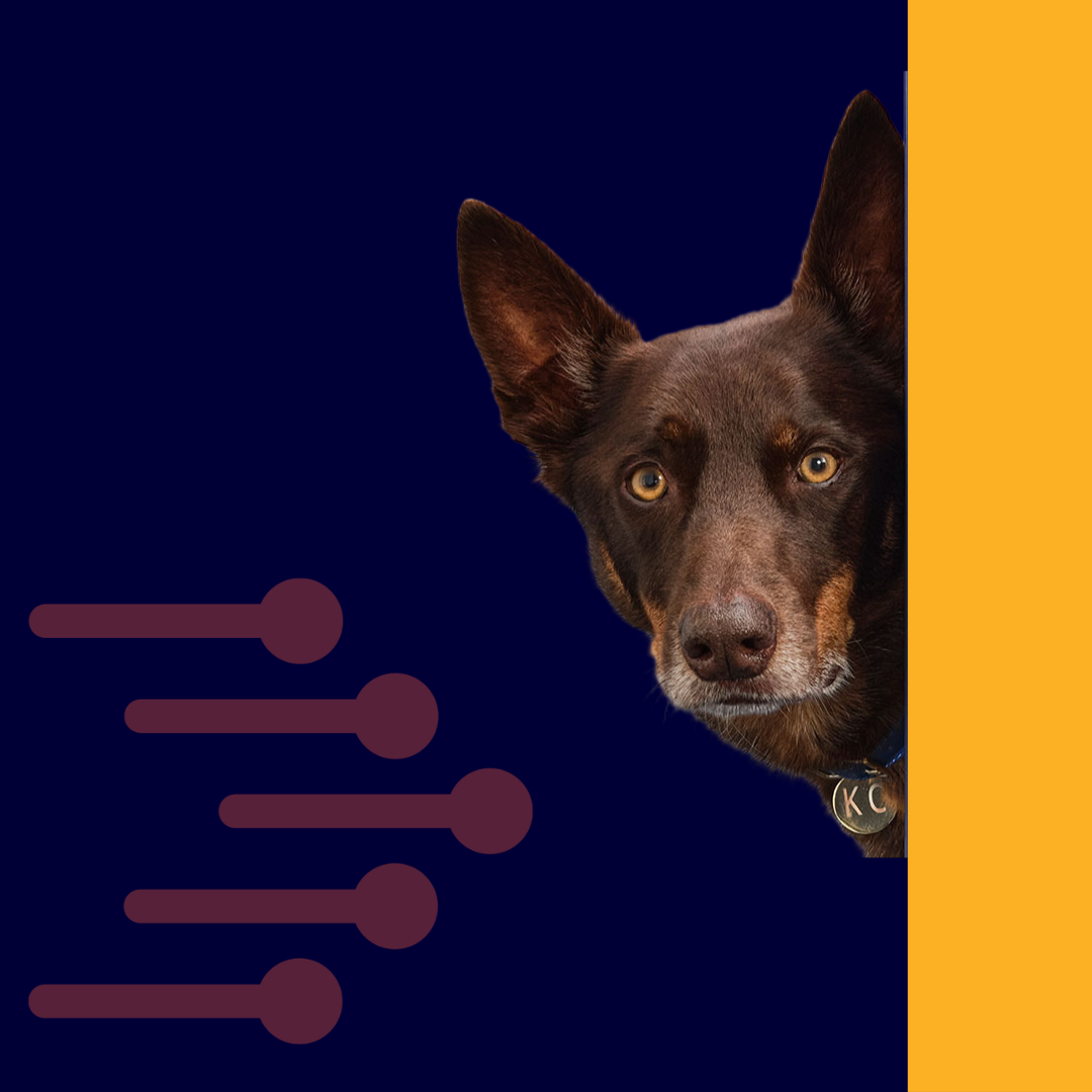 KC Image 1